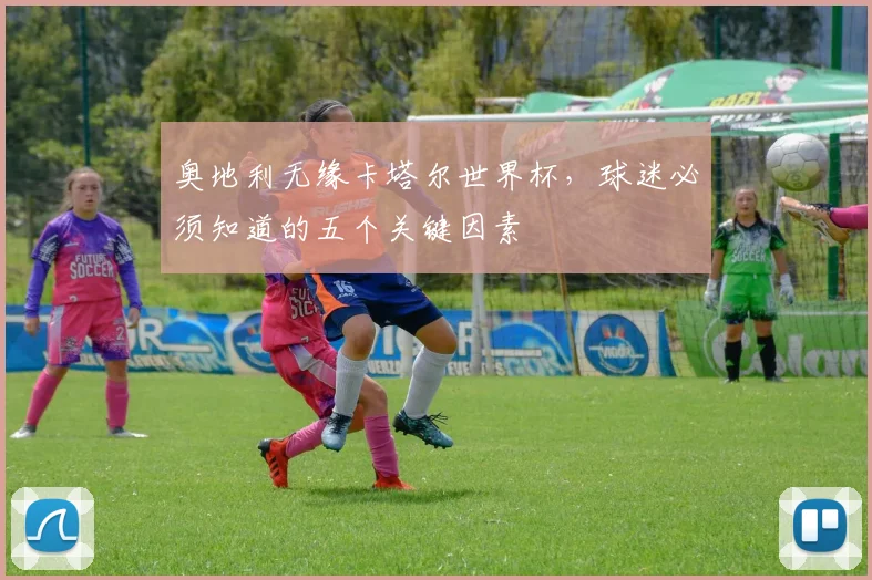 奥地利无缘卡塔尔世界杯，球迷必须知道的五个关键因素